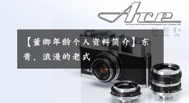 【董卿年龄个人资料简介】东青,浪漫的老式