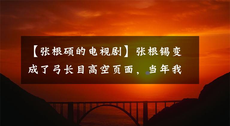 【张根硕的电视剧】张根锡变成了弓长目高空页面,当年我们追的男神们,你们还不错!