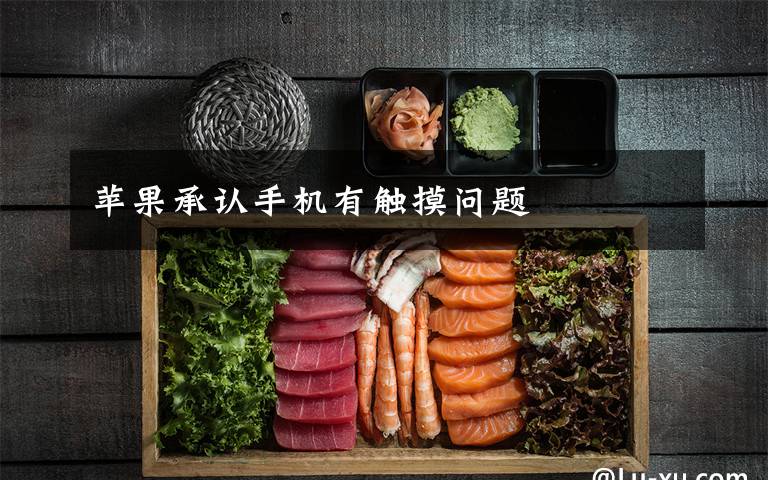苹果承认手机有触摸问题