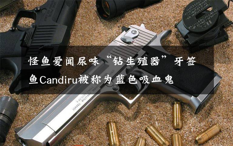 怪鱼爱闻尿味“钻生殖器”牙签鱼Candiru被称为蓝色吸血鬼