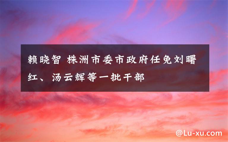 赖晓智 株洲市委市政府任免刘曙红、汤云辉等一批干部
