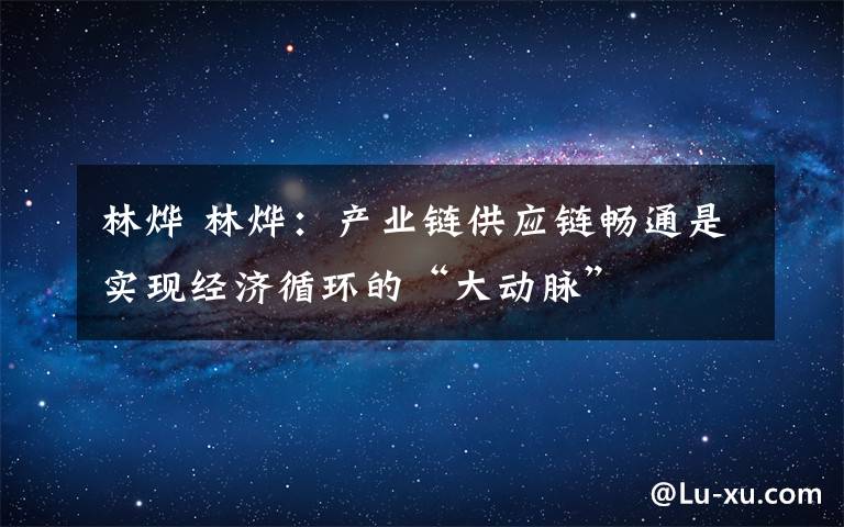林烨 林烨:产业链供应链畅通是实现经济循环的“大动脉”