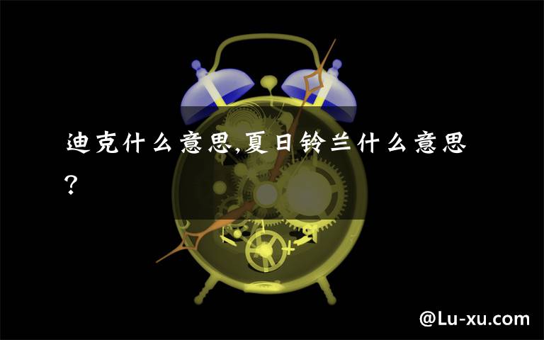 迪克什么意思,夏日铃兰什么意思？