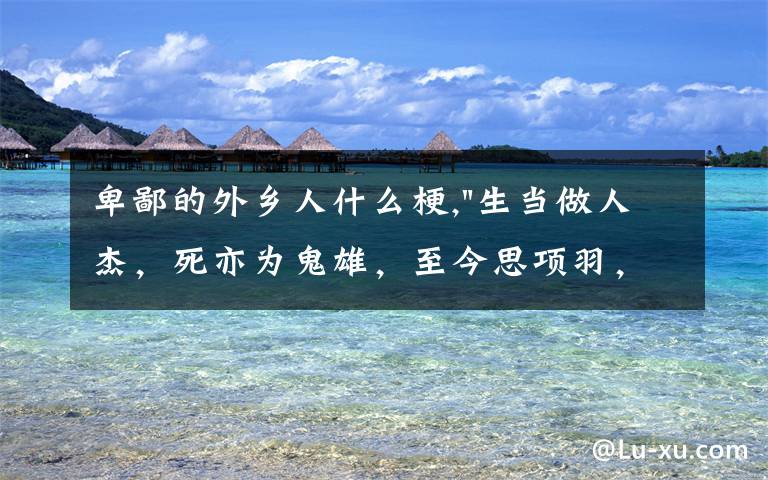 卑鄙的外乡人什么梗,