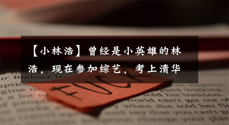 【小林浩】曾经是小英雄的林浩,现在参加综艺,考上清华大学,说要成为建筑师。(威廉莎士比亚。)。