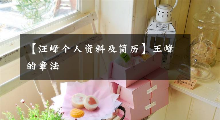 【汪峰个人资料及简历】王峰的章法