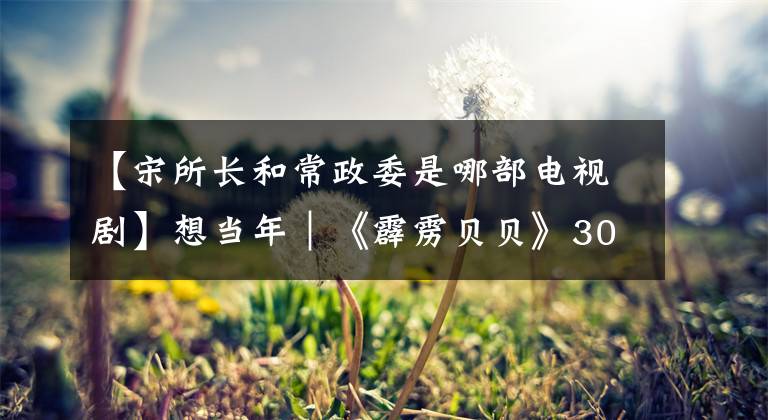 【宋所长和常政委是哪部电视剧】想当年｜《霹雳贝贝》30年：还记得这个带电的小男孩吗