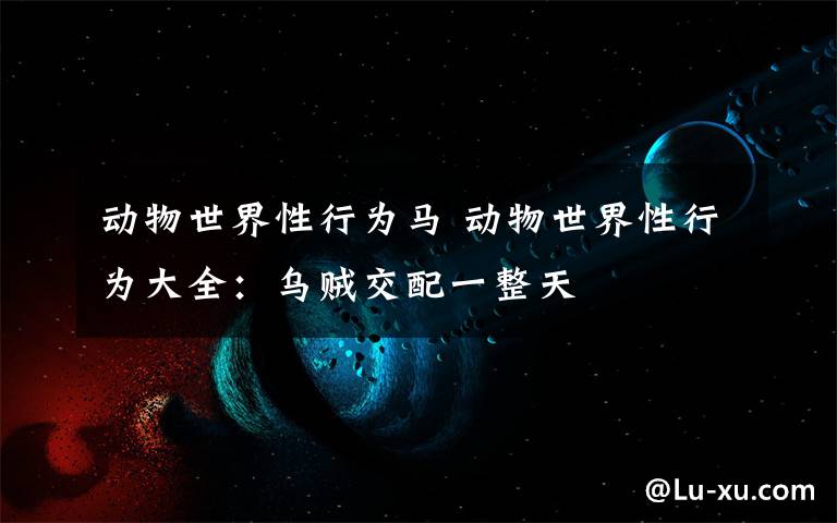 动物世界性行为马 动物世界性行为大全:乌贼交配一整天