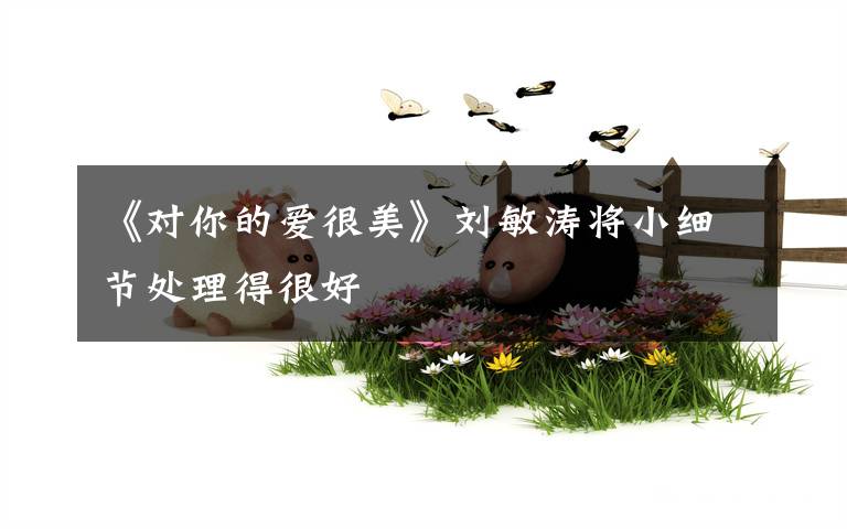 《对你的爱很美》刘敏涛将小细节处理得很好