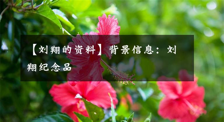 【刘翔的资料】背景信息:刘翔纪念品