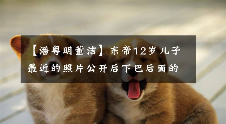 【潘粤明董洁】东帝12岁儿子最近的照片公开后下巴后面的视线变宽了,像爸爸半月明一样。