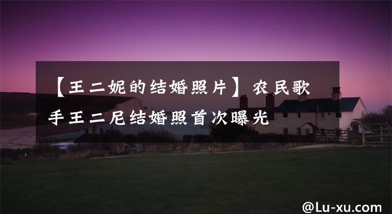 【王二妮的结婚照片】农民歌手王二尼结婚照首次曝光