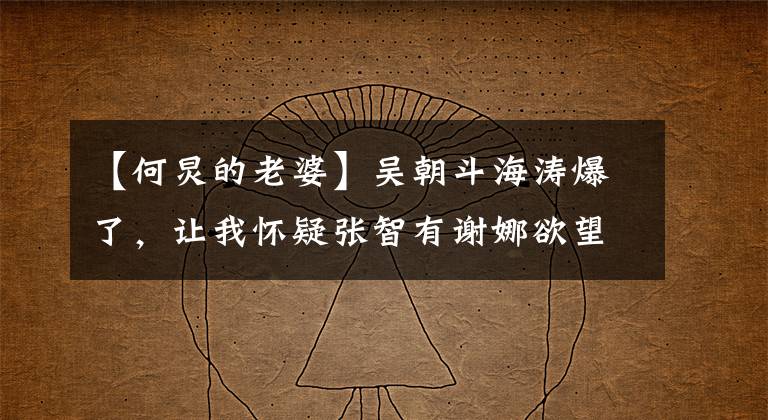 【何炅的老婆】吴朝斗海涛爆了,让我怀疑张智有谢娜欲望想制造许志昂正史。()