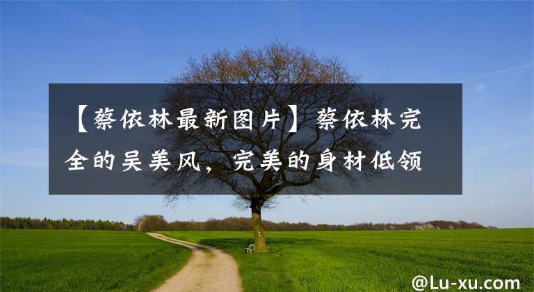【蔡依林最新图片】蔡依林完全的吴美风,完美的身材低领吊带,金发碧眼,太有魅力了。