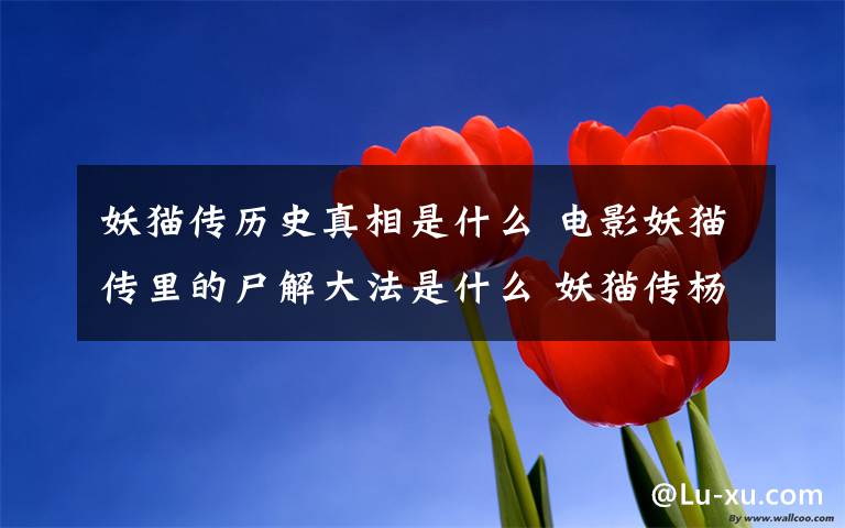 妖猫传历史真相是什么 电影妖猫传里的尸解大法是什么 妖猫传杨贵妃死亡真相是什么