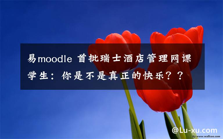 易moodle 首批瑞士酒店管理网课学生:你是不是真正的快乐???