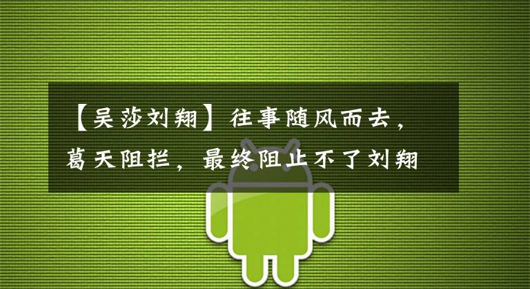 【吴莎刘翔】往事随风而去,葛天阻拦,最终阻止不了刘翔吴邪在一起。