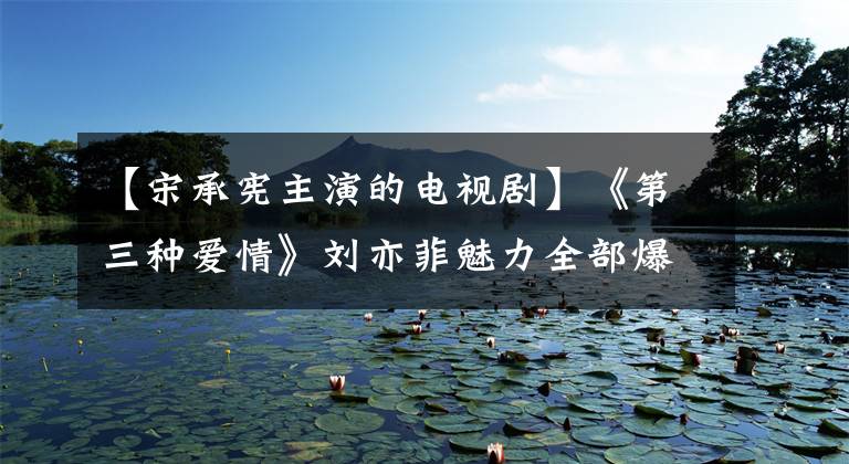 【宋承宪主演的电视剧】《第三种爱情》刘亦菲魅力全部爆发，宋承宪将带你疯狂飞翔