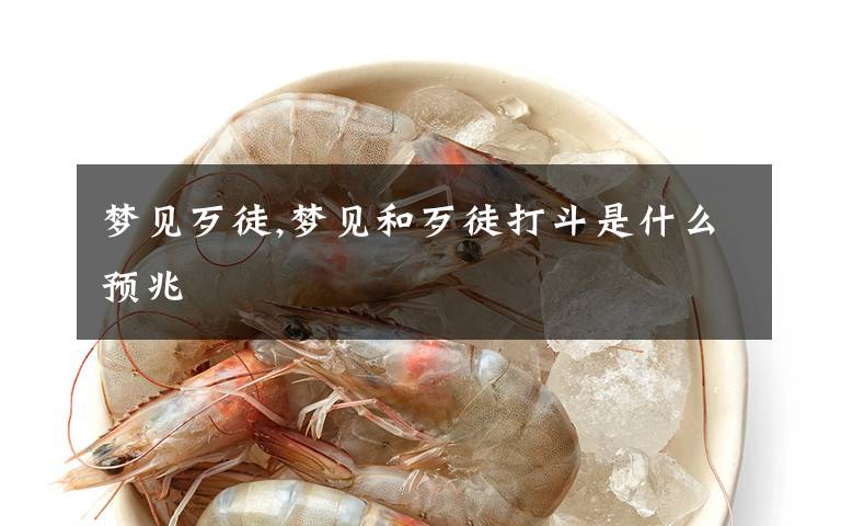 梦见歹徒,梦见和歹徒打斗是什么预兆