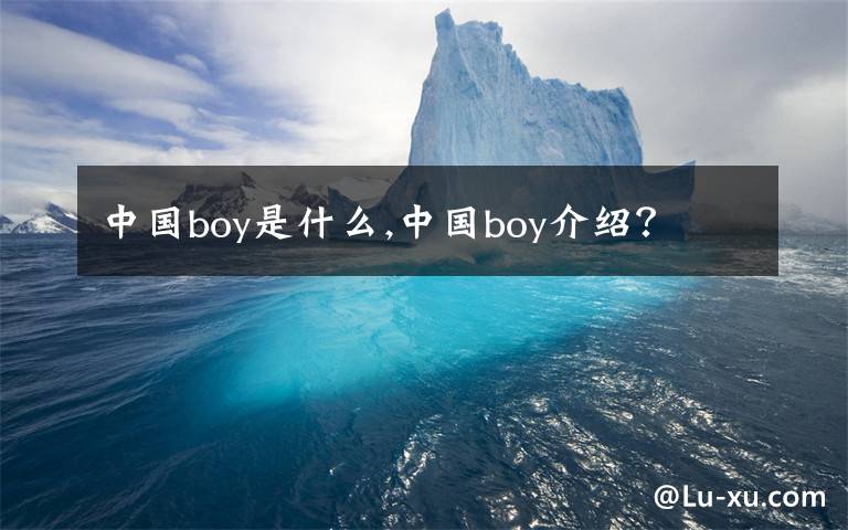 中国boy是什么,中国boy介绍？