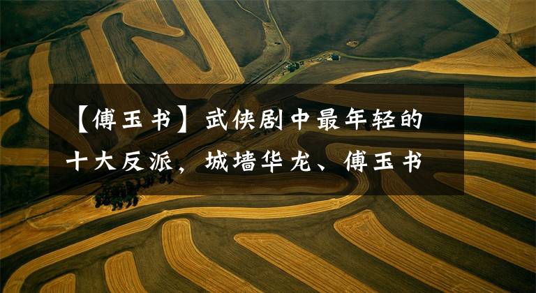 【傅玉书】武侠剧中最年轻的十大反派,城墙华龙、傅玉书逆袭为一种新药