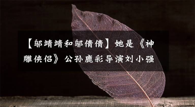 【邬靖靖和邬倩倩】她是《神雕侠侣》公孙鹿彩导演刘小强亲侄子,深受喜爱。