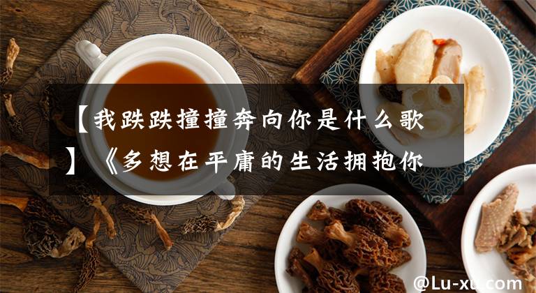 【我跌跌撞撞奔向你是什么歌】《多想在平庸的生活拥抱你》美元：人一辈子最怕突然听懂一首歌。