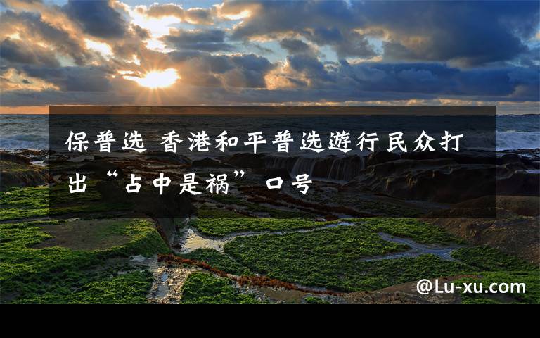 保普选 香港和平普选游行民众打出“占中是祸”口号
