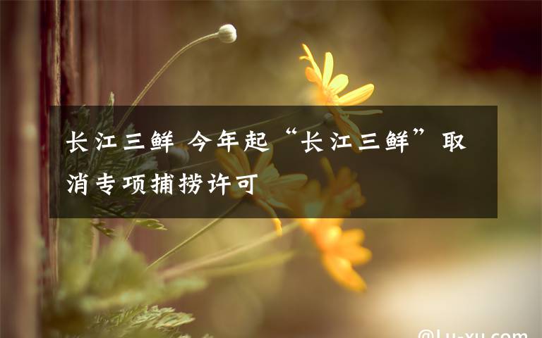 长江三鲜 今年起“长江三鲜”取消专项捕捞许可