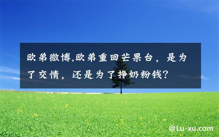 欧弟微博,欧弟重回芒果台，是为了交情，还是为了挣奶粉钱？