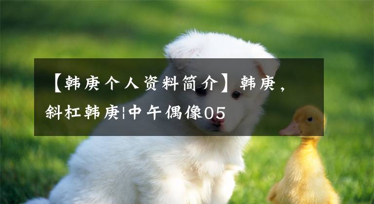 【韩庚个人资料简介】韩庚,斜杠韩庚|中午偶像05