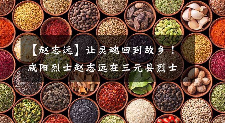 【赵志远】让灵魂回到故乡!咸阳烈士赵志远在三元县烈士陵园长眠了66年,等待亲人祭祀。