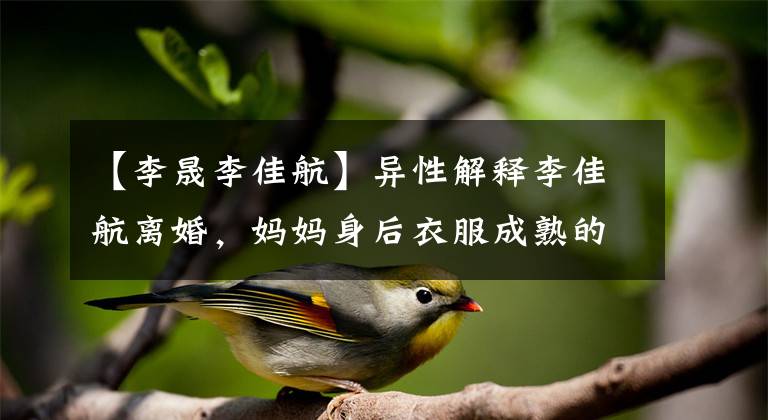 【李晟李佳航】异性解释李佳航离婚,妈妈身后衣服成熟的氛围,3岁的儿子眼睛太像妈妈了。