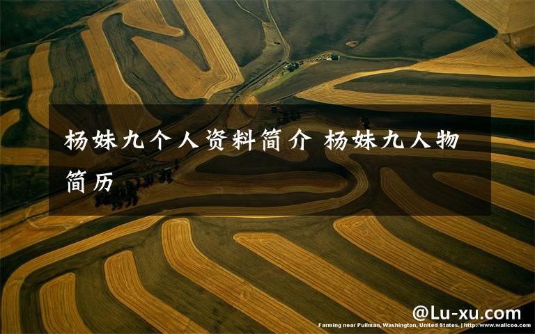 杨妹九个人资料简介 杨妹九人物简历