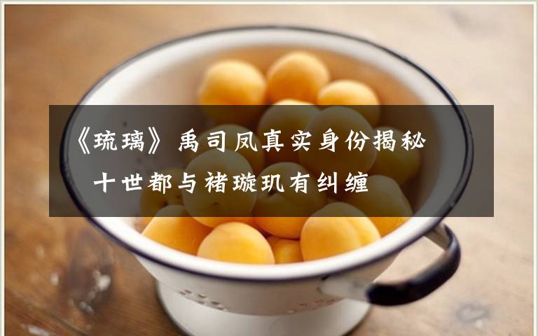 《琉璃》禹司凤真实身份揭秘 十世都与褚璇玑有纠缠