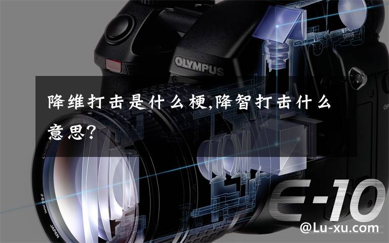 降维打击是什么梗,降智打击什么意思？