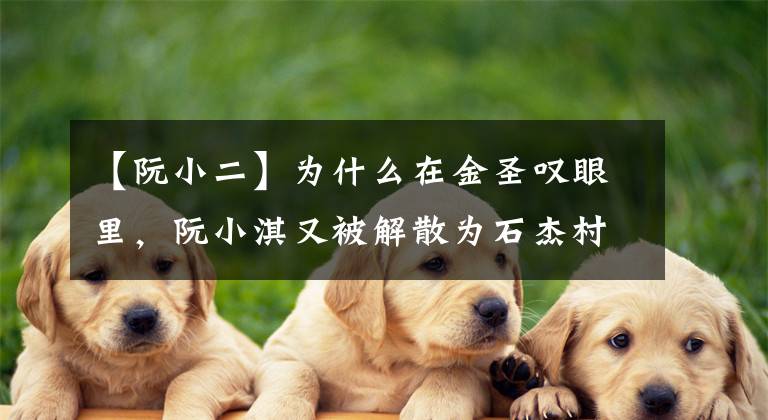 【阮小二】为什么在金圣叹眼里,阮小淇又被解散为石杰村,上面的人物?