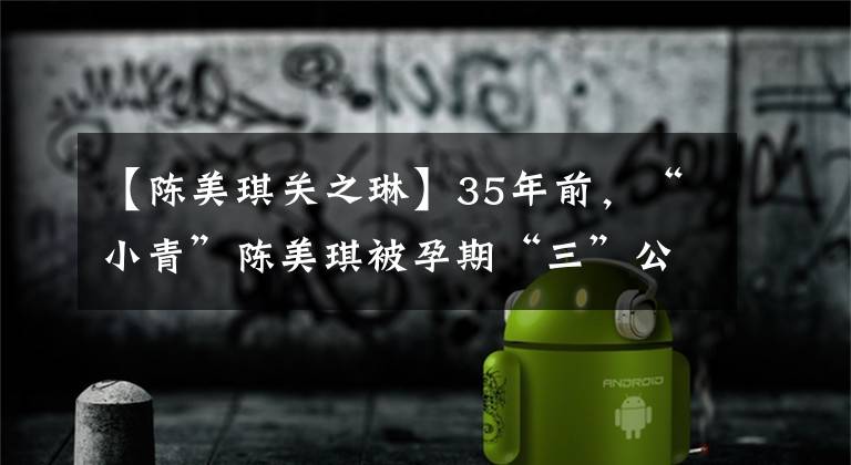 【陈美琪关之琳】35年前,“小青”陈美琪被孕期“三”公然挑衅关志林,导致流产不孕。