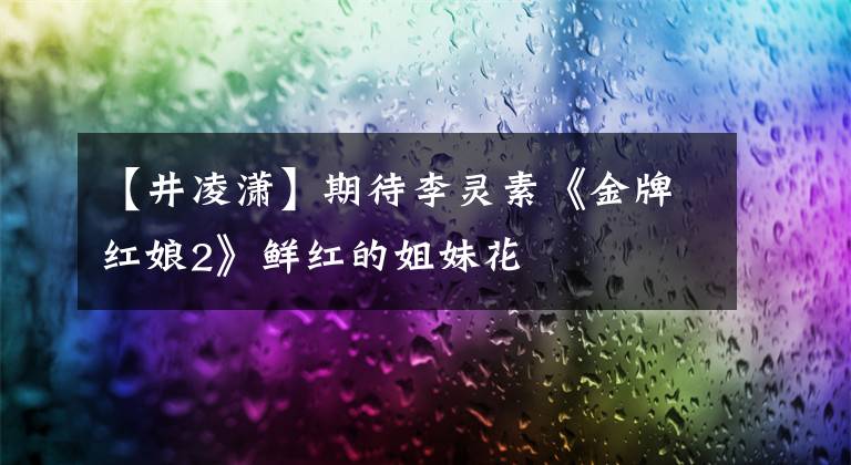 【井凌潇】期待李灵素《金牌红娘2》鲜红的姐妹花