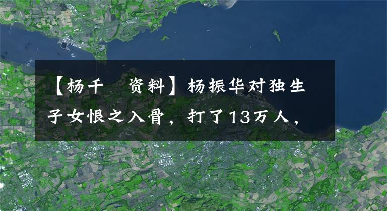 【杨千嬅资料】杨振华对独生子女恨之入骨,打了13万人,送去了国际学校