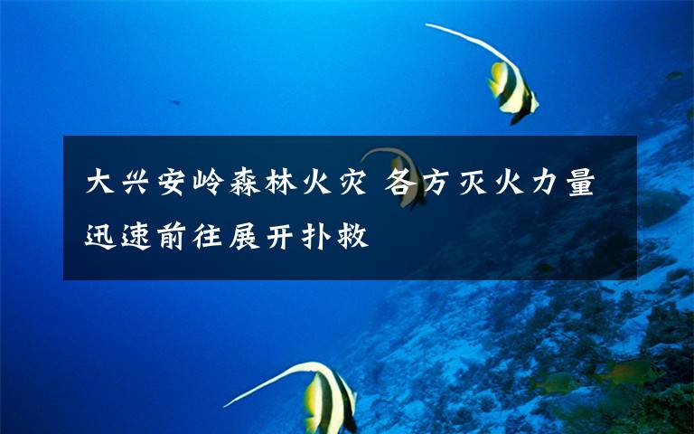 大兴安岭森林火灾 各方灭火力量迅速前往展开扑救