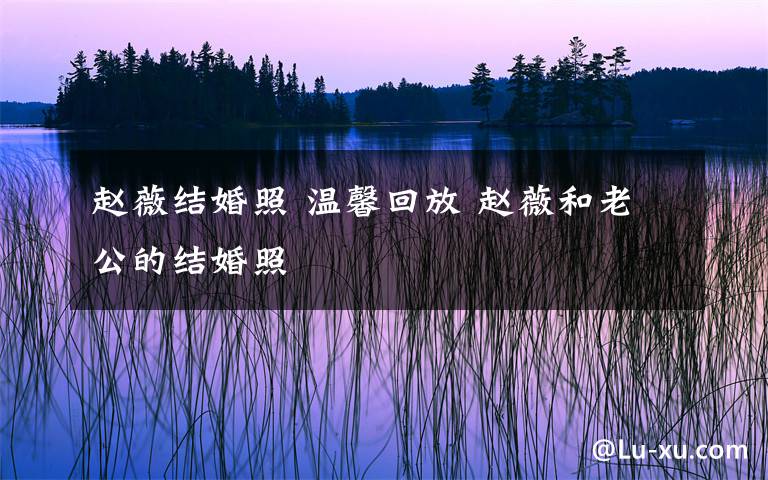 赵薇结婚照 温馨回放 赵薇和老公的结婚照