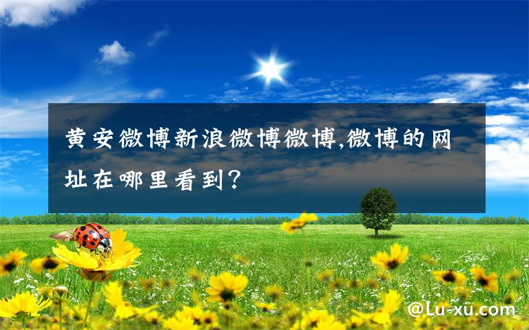黄安微博新浪微博微博,微博的网址在哪里看到？