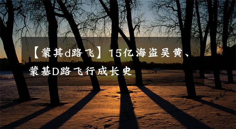 【蒙其d路飞】15亿海盗吴黄、蒙基D路飞行成长史