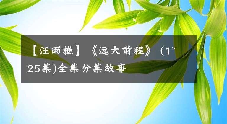 【汪雨樵】《远大前程》 (1~25集)全集分集故事