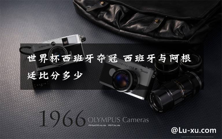 世界杯西班牙夺冠 西班牙与阿根廷比分多少