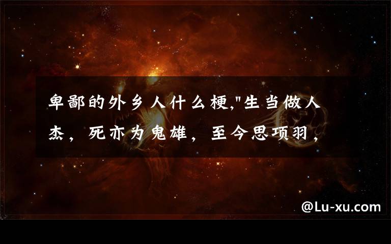 卑鄙的外乡人什么梗,