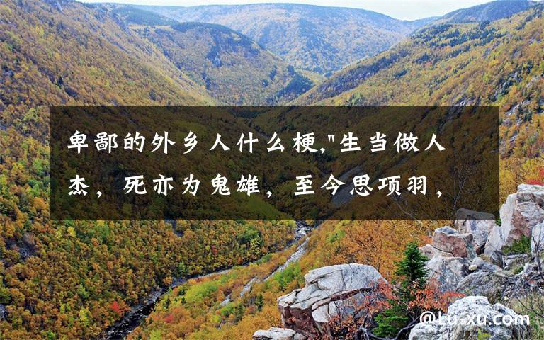 卑鄙的外乡人什么梗,