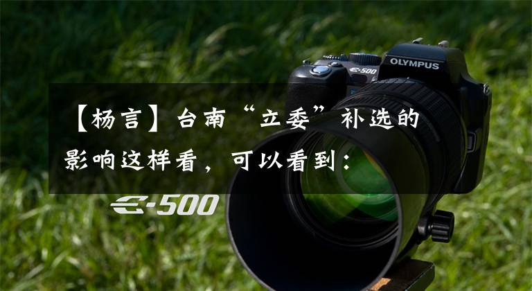 【杨言】台南“立委”补选的影响这样看，可以看到：