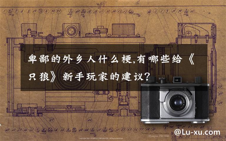 卑鄙的外乡人什么梗,有哪些给《只狼》新手玩家的建议？